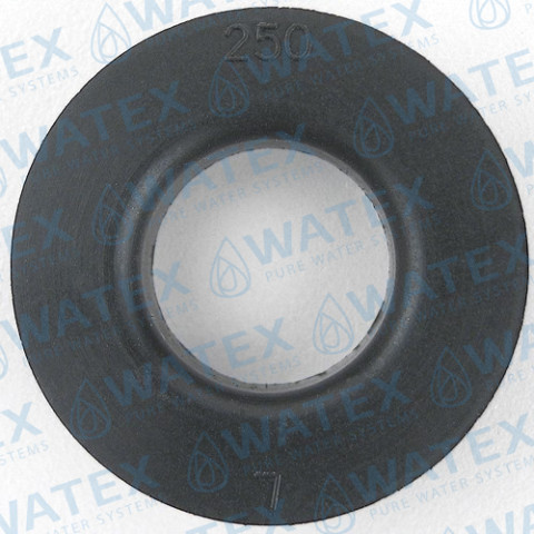 WS1 DLFC 250 (1")