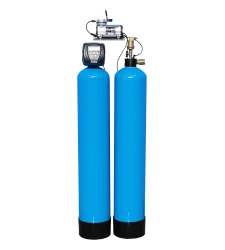 WATEX RCMB10 iron removal filter