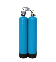 WATEX RCMB13 iron removal filter