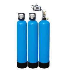 WATEX RCMB12x2 iron removal filter