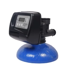 WS1.25TC timer control valve for backwash filters