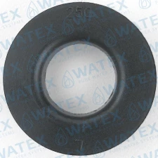 WS1 DLFC 250 (1”) äravoolu piiraja
